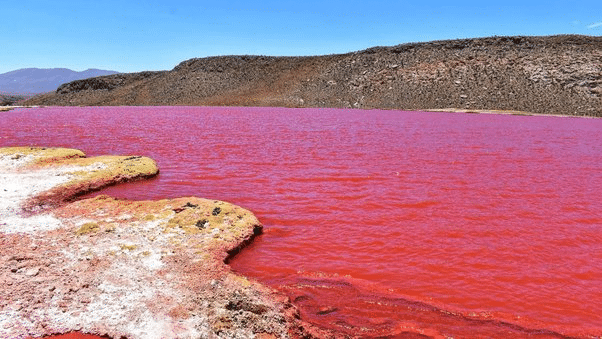Red Water River